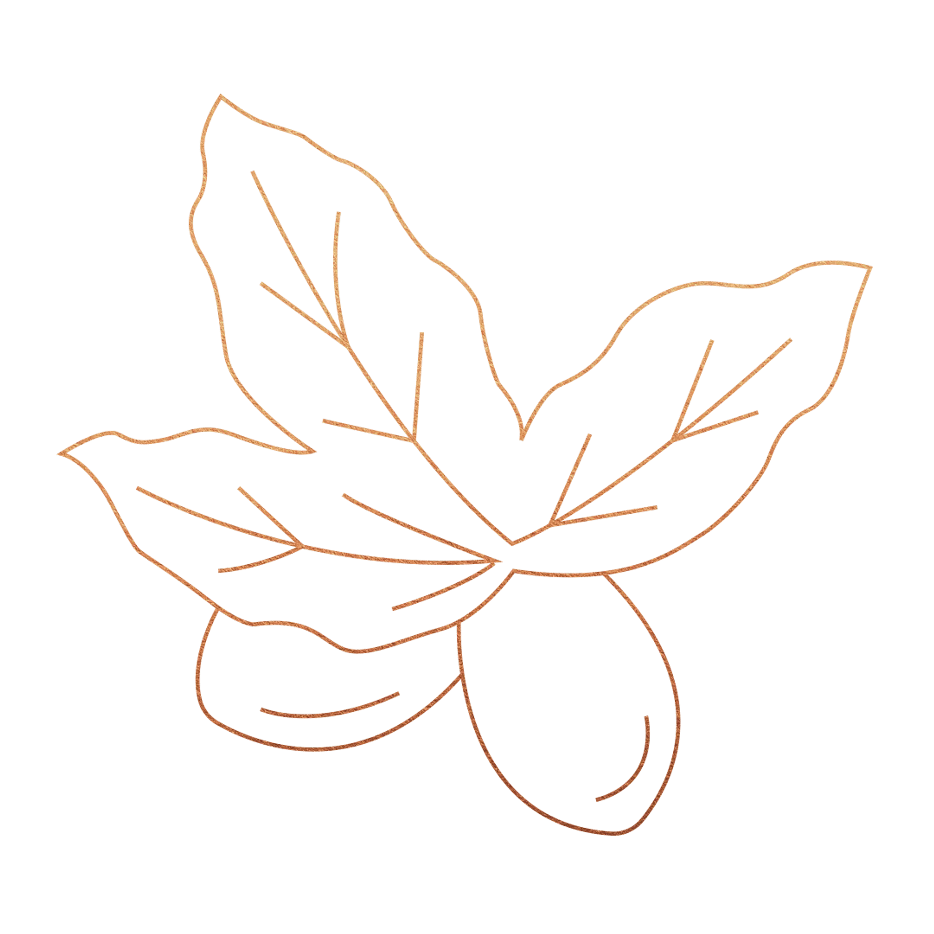 Los Nogales_Casas en Saltillo experiencia_residencial